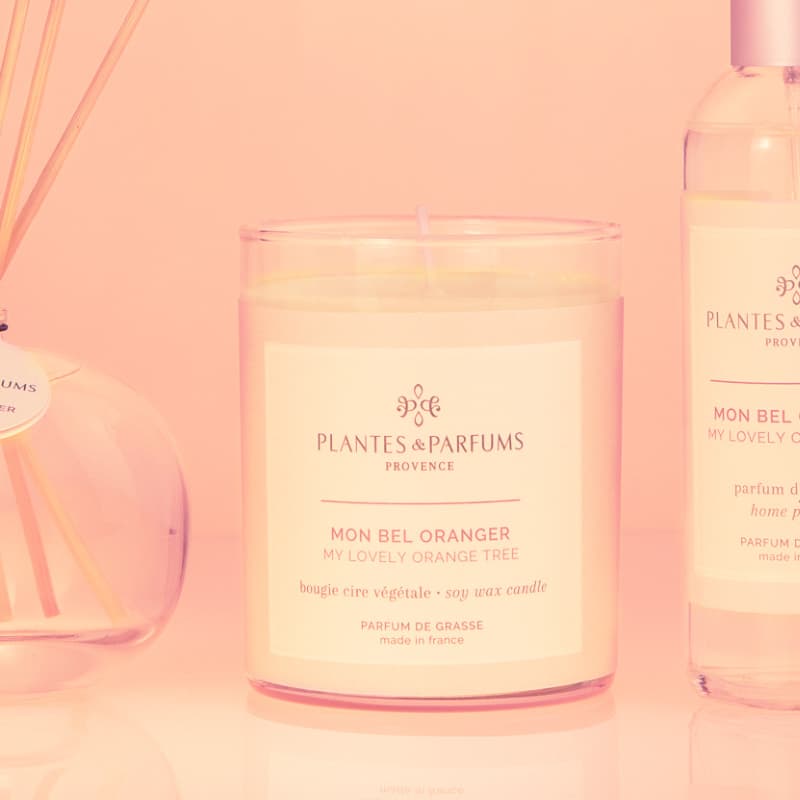 Plantes & Parfums Orange Blossom Candle | The Elms