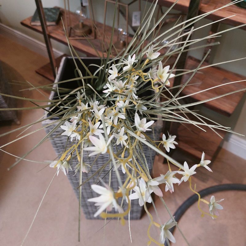 Onion Grass with Flower in Black Pot | Faux Plants & Vases | Faux Plants | The Elms