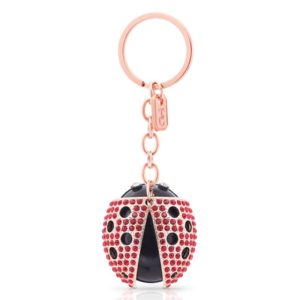 Ladybird Keyring | Gifts | Accessories | The Elms