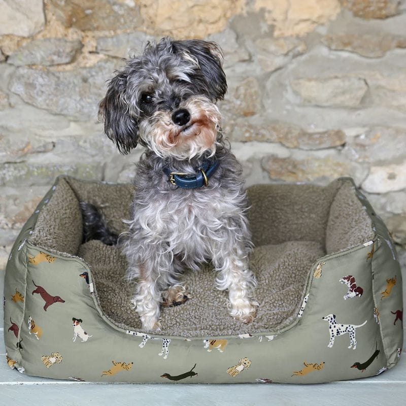 Dog Bed - Fetch - Medium | Pet Beds | Pets | The Elms