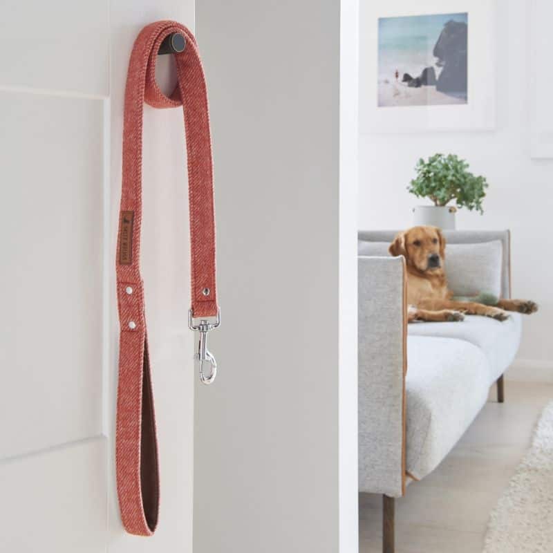 Tweed Dog Lead - Orange | Pets | Pet Accessories | The Elms