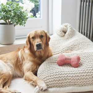 Tweed Dog Bone - Small - Orange | Pets | Pet Accessories | The Elms