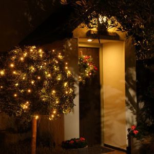 50 Fit & Forget Tree Lights - Warm White - Battery Operated | Christmas | Christmas Lights | The Elms