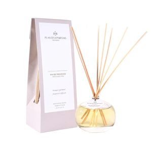 Fragrance Diffuser - Provence Pine - 100ml | Fragrances | Diffusers | The Elms